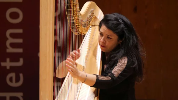 Wiener Geschichten. Anneleen Lenaerts brilliert beim zweiten Meisterkonzert im Konzerthaus. - © Thomas Krügler