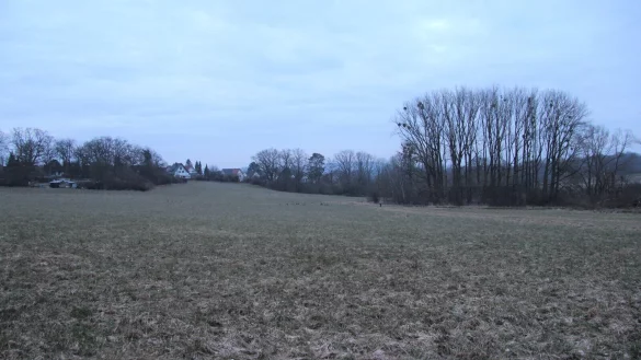 Das Grünland zwischen Freilichtmuseum und Johannettental soll zu einem Bürgerwald umgestaltet werden. - © Jana Beckmann