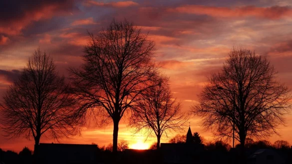 In OWL beteiligen ich inzwischen rund 1.700 Landwirte am sogenannten Vertragsnaturschutz. - © Martina Boetzel