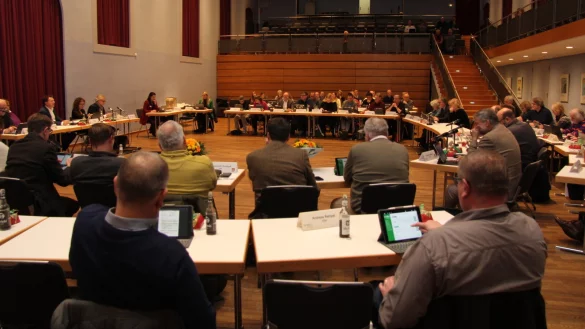 Der Stadtrat bei einer Sitzung in der Stadthalle. - © Archivfoto: Jana Beckmann