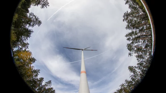 Windkraft im Wald? In Lippe seit Jahren ein großes Thema. - © Daniel Karmann/dpa