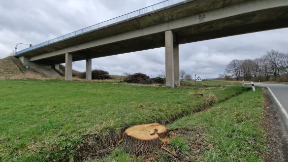 An der Passadetalbrücke wurden Bäume für den Ersatzbau gefällt. Im Hintergrund sind mehrere Haufen mit Sträuchern zu sehen. - © Nadine Uphoff