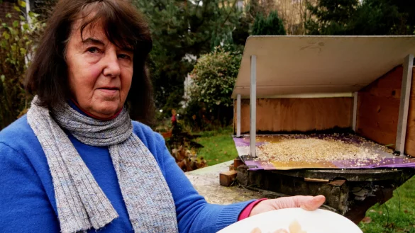 Jeden Vormittag hat Ursula Flake den beiden Raben H&uuml;hnerfleisch rausgestellt. Allerdings waren die Portionen feiner geschnitten, als hier zu sehen, betont sie. - &copy; Till Sadlowski