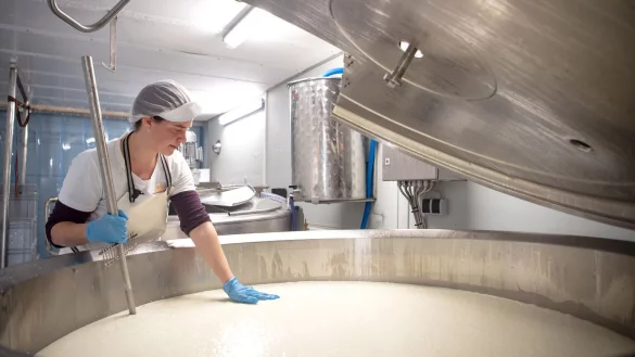 Mobile K&auml;serei - &copy; Foto: Sina Schuldt/dpa