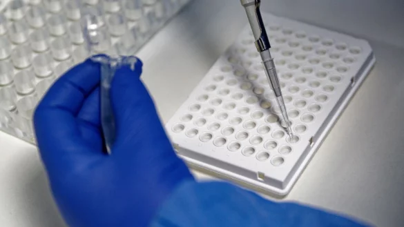 PCR-Test - &copy; Foto: Henning Kaiser/dpa