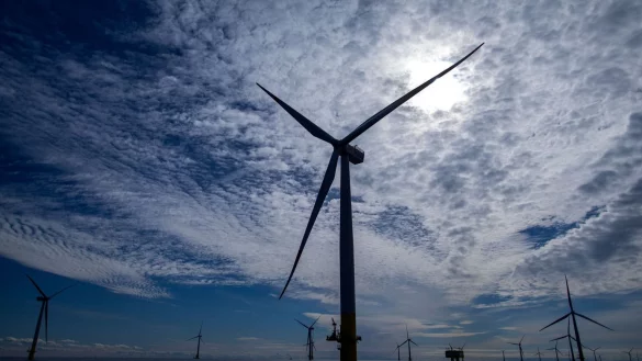 Offshore-Windpark - &copy; Foto: Jens B&uuml;ttner/dpa-Zentralbild/dpa