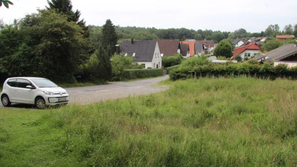 Die Wiese hinter dem geschotterten Parkstreifen soll zu einem vierreihigen Parkplatz umgewandelt werden, um dem Mangel an Parkm&ouml;glichkeiten f&uuml;r Wanderer und Touristen abzuhelfen, schlagen mehrere Vereine vor. - &copy; Dieter Asbrock