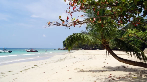 Urlaub auf den Seychellen - &copy; Foto: Carola Frentzen/dpa/dpa-tmn