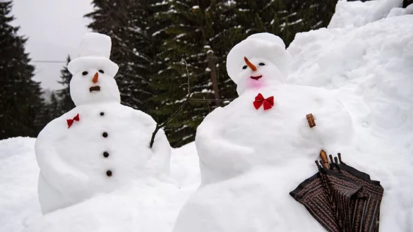 Tag des Schneemanns - &copy; Foto: Lino Mirgeler/dpa