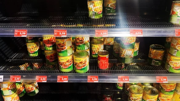 Menschen und Hamstern - &copy; Foto: Paul Zinken/dpa