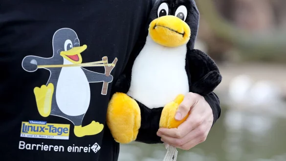 30 Jahre Linux - &copy; Foto: Jan Woitas/dpa-Zentralbild/dpa