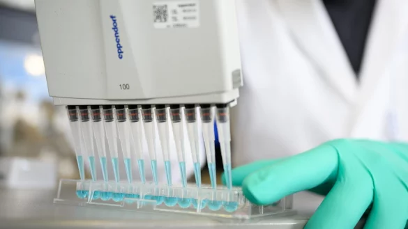 Arbeit im Labor - &copy; Foto: Sebastian Gollnow/dpa
