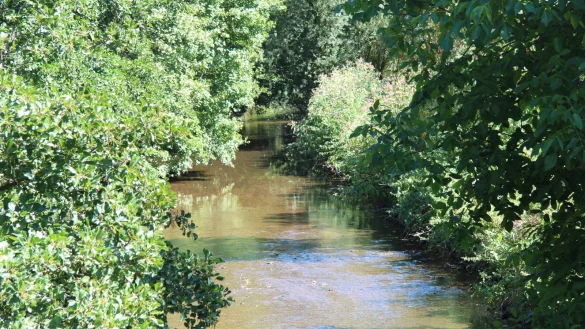 An der Werre in Lage werden Ma&szlig;nahmen zum Hochwasserschutz und zur Umgestaltung geplant. - &copy; Archiv: LZ