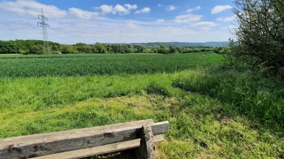 Kalletal ist gepr&auml;gt von vielen landwirtschaftlichen Fl&auml;chen und bewaldeten Bergen. Rund 175 Kilometer an Wirtschaftswegen m&ouml;chte die Gemeinde dar&uuml;ber hinaus f&uuml;r Renaturierungsma&szlig;nahmen nutzen. - &copy; Lorraine Brinkmann
