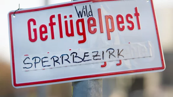 Sollte sich der Vogelgrippe-Verdacht in der Bielefelder Innenstadt best&auml;tigen, m&uuml;sste es - wie auf diesem Foto auch Berlin - auch in Bielefeld Sperrungen geben. - &copy; Symbolfoto: dpa