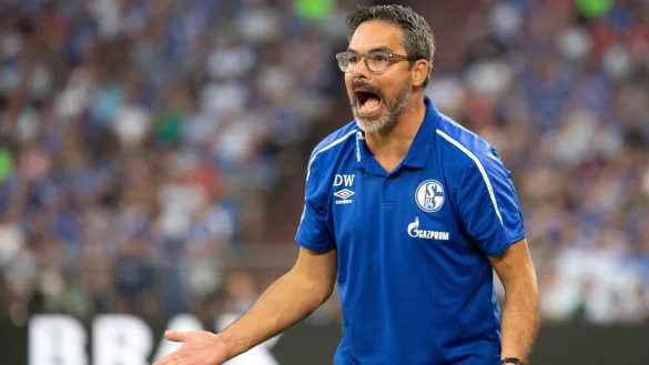 David Wagner - &copy; Foto: Federico Gambarini