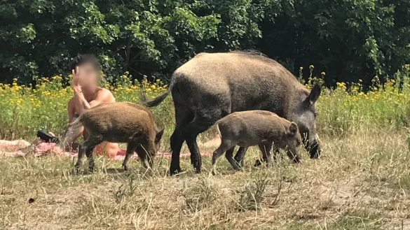 Besuch am Teufelssee - &copy; Foto: Fernando Gutierrez/dpa