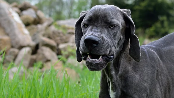 - &copy; Symbolbild: Pixabay