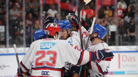 N&uuml;rnberg Ice Tigers - Adler Mannheim - &copy; Foto: Daniel Karmann