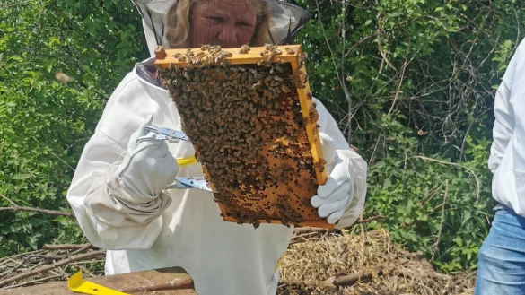 Zum ersten Mal in Kontakt mit Tausenden Bienen: LZ-Mitarbeiterin Sylvia Frevert bei der Kontrolle ihres Bienenhauses. - &copy; Fotorechte: Sylvia Frevert
