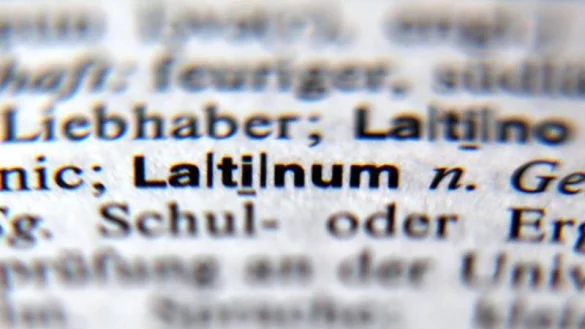 Latein - &copy; Foto: Oliver Berg/dpa