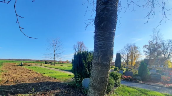 Ab durch die Hecke ist vorbei. Die nat&uuml;rliche Einfriedung wurde &ndash; sehr zum &Auml;rger einiger B&uuml;rger &ndash; entfernt. Im Fr&uuml;hjahr des kommenden Jahres soll eine neue gepflanzt werden. Mit ihr soll Wild vom Friedhof ferngehalten werden. - &copy; Michaela Wei&szlig;e