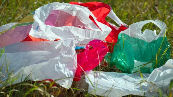 Plastikt&uuml;ten - &copy; Foto: Patrick Pleul