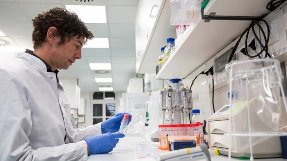 Untersuchungen zum Coronavirus in der Charite Berlin - &copy; Foto: Christophe Gateau/dpa