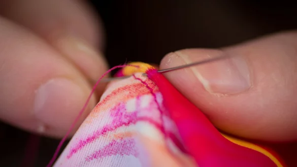 Nadel - &copy; Foto: Frank Rumpenhorst