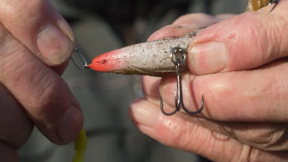 Fischereiverband - &copy; Foto: Klaus-Dietmar Gabbert