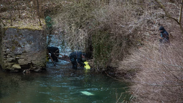 Die Suche nach der Schusswaffe am Knochenbach geht weiter: Am Donnerstag war unter anderem eine Tauchergruppe der Polizei Köln in Detmold im Einsatz. - © Freitag TV