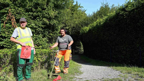 Rote Beutel: Wenn die Bauhofmitarbeiter Lothar Rottsch&auml;fer (links) und Christian Rentz mit einem Freischneider &uuml;ber einen gef&uuml;llten Beutel fahren, fliegt ihnen der Hundekot ins Gesicht. - &copy; Thomas Dohna