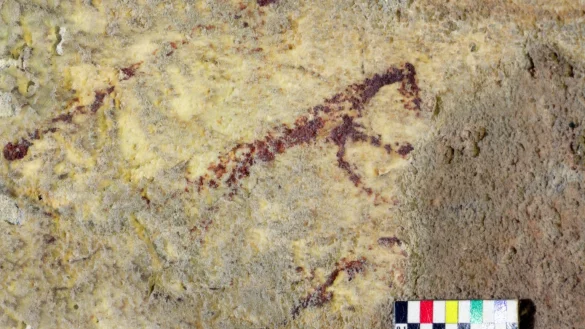 H&ouml;hlenwand - &copy; Foto: Ratno Sardi/Griffith University/dpa