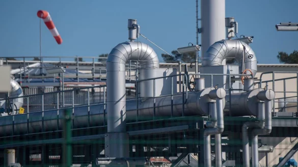 - © Stefan Sauer/dpa