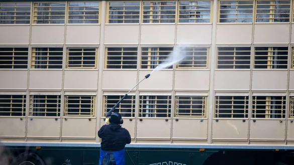 Viehtransporter - &copy; Foto: Jens B&uuml;ttner/dpa-Zentralbild/dpa