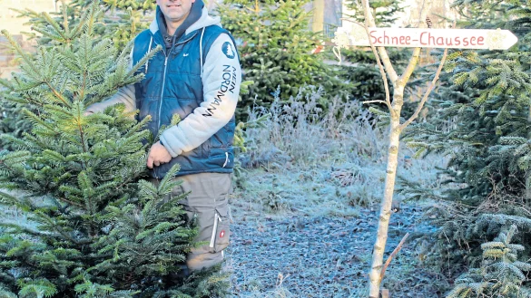 Bernhard Henneken betreibt einen &ouml;kologischen Weihnachtsbaum-Anbau. - &copy; Privat