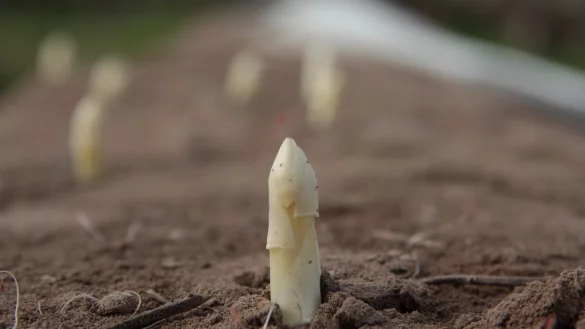 - &copy; Symbolbild: Pixabay