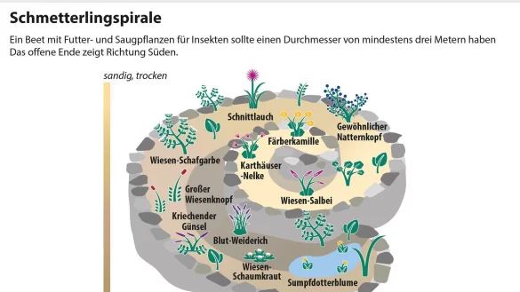 Insekten f&uuml;hlen sich unter bestimmten Umst&auml;nden besonders wohl. Zum Beispiel in einer Schmetterlingsspirale. - &copy; dpa-infografik GmbH/dpa-tmn