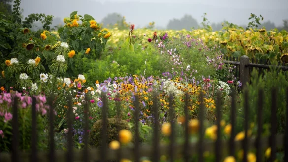 Mehr Unordnung im Garten - &copy; Foto: Arno Burgi/dpa-Zentralbild/dpa-tmn