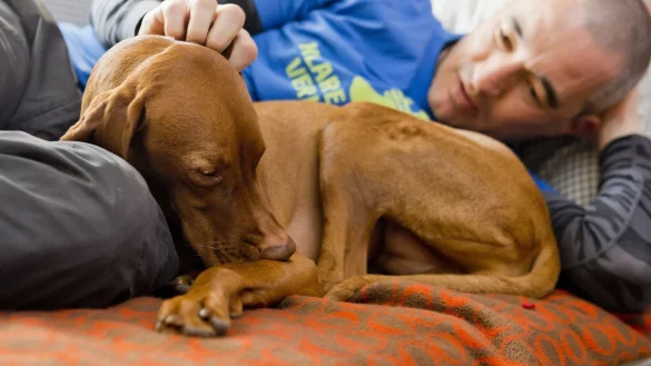 Streicheleinheiten f&uuml;r den Hund - &copy; Foto: Monique W&uuml;stenhagen