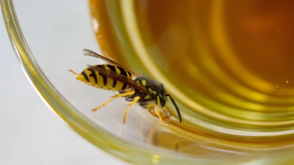 Schraubglas mit Loch im Deckel - &copy; Foto: Andrea Warnecke/dpa-tmn