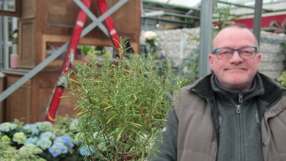 Dirk Rackelmann mit einer Thymian-Pflanze. Drau&szlig;en ist es dem Kraut derzeit zu kalt, drinnen braucht es viel Licht und Feuchtigkeit. - &copy; Carolin Brokmann-F&ouml;rster