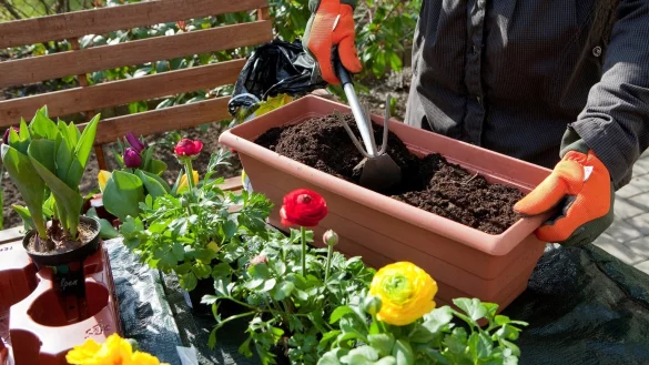 Torffreie Erden - &copy; Foto: Kai Remmers