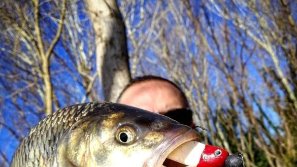 Ob mit Kunstk&ouml;der wie im Bild oder doch mit Wurm: Ein Angler hat seine eigene Philosophie f&uuml;r den Fang. - &copy; Symbolbild: Pixabay