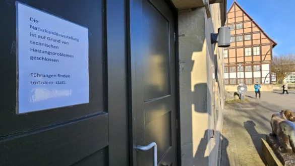 Die naturkundliche Abteilung des Lippischen Landesmuseums bleibt bis auf Weiteres geschlossen. - © Jost Wolf