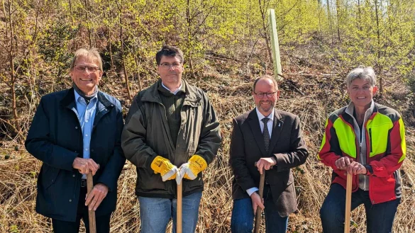 Über die gelungene Kooperation freuen sich (von links) Jörg Karlikowski (Geschäftsführer Stadtwerke Detmold), Stephan Grigat (Vorsitzender des Aufsichtsrates der Stadtwerke Detmold), Jörg Düning-Gast (Verbandsvorsteher), Susanne Hoffmann (komm. Leiterin Forstabteilung Landesverband Lippe) - © Landesverband Lippe
