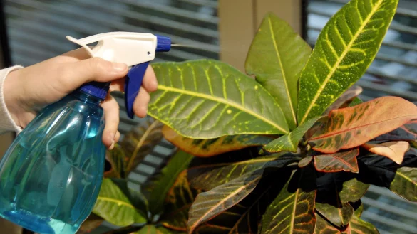 Sch&auml;dlingsbek&auml;mpfung - &copy; Foto: dpa