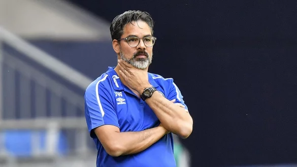 Schalke-Coach - &copy; Foto: Martin Meissner/AP-Pool/dpa