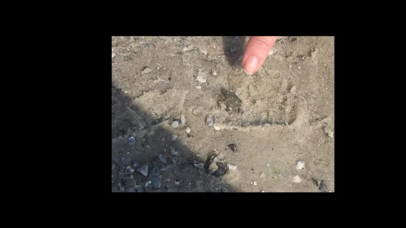 PointerPointer.com - &copy; Foto: PointerPointer.com/dpa-tmn