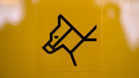 Maulkorbpflicht - &copy; Foto: Tim Brakemeier/dpa/Illustration